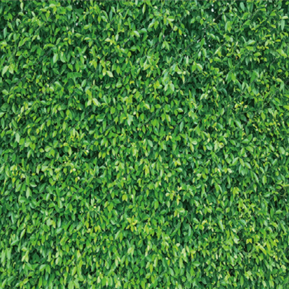 Lush Green Meadow - Pillow Cover Backdrop Backdrops