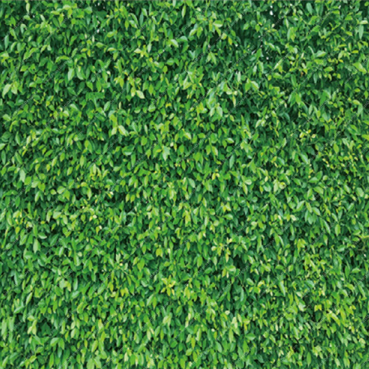 Lush Green Meadow - Pillow Cover Backdrop Backdrops